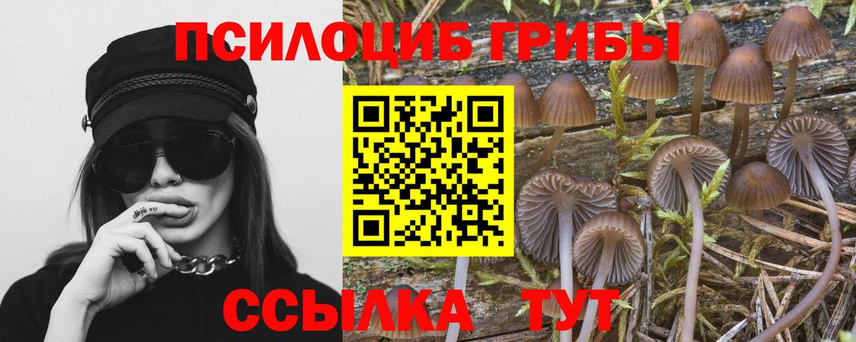 Галлюциногенные грибы GOLDEN TEACHER Бахчисарай