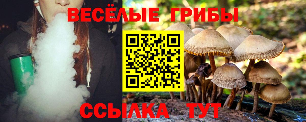 Галлюциногенные грибы мицелий  купить закладку  Вход с VPN  Бахчисарай  Псилоцибиновые грибы Psilocybine cubensis 